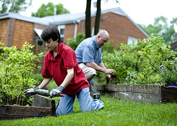 otac i sin uređuju vrt